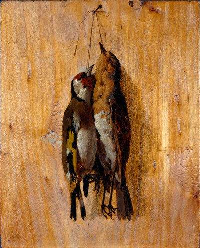 Doğadan sonra çalışma Duvarda iki ölü kuş iğnesi. Benedetto Musso (1835-1883) tarafından 1864 dolaylarında Sun tablosu. 20,5x16,5 cm genler, Galleria d