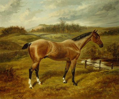 Manzara İçinde Bir Çilek Roan Avcısı by Benjamin Cam Norton