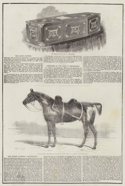 Wellington Dükü by Benjamin Herring