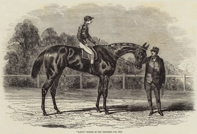 Nancy, Goodwood Kupasını Kazanan, 1851 by Benjamin Herring