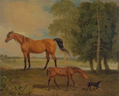 Tay ve Teriyer ile Broodmare by Benjamin Marshall