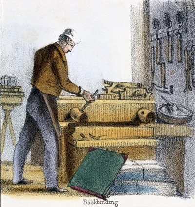 Hayvanların Grafik Resimlerinde Oğlan, İnek ve Buzağıdan Ciltçi - Yaşam Boyunca İstihdamında ve Ölümden Sonra Kullanımlarında İnsana Faydalarını Gösteriyor, 1845 dolayları by Benjamin Waterhouse Hawkins