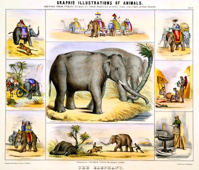 Fil, c1850 by Benjamin Waterhouse Hawkins