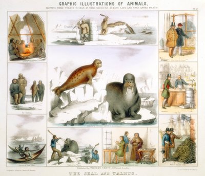 Mühür ve Mors, c1850 by Benjamin Waterhouse Hawkins