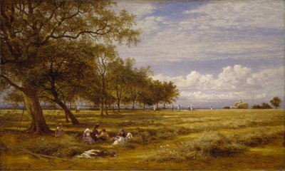 İngiliz Hayfield, 1878 by Benjamin Williams Leader