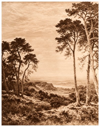 Yağmurdan Sonra Gün Batımı, 1903 by Benjamin Williams Leader