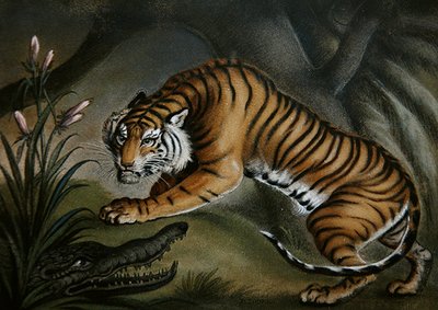 Kaplan ve Timsah, c.1810 (gemideki kum resmi) by Benjamin Zobel