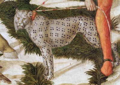 Bir tasma üzerinde gergin leopar, şapeldeki Magi döngüsünün Yolculuğu