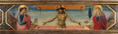 Bilinmeyen resim by Benozzo di Lese di Sandro Gozzoli