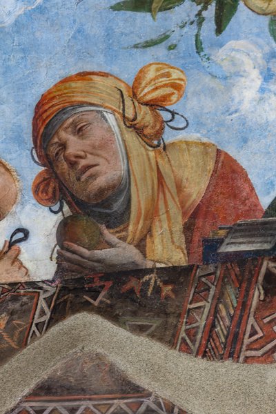 Kadın figürü, tonoz detayı, Aula Costabiliana o Hazine Salonu (fresk) by Benvenuto Tisi da Garofalo