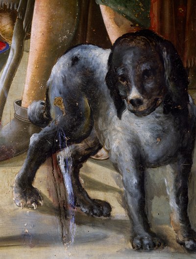 Köpek, İsa