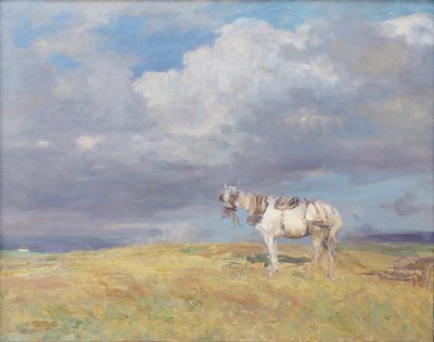 Beyaz at, c.1910 (tuval üzerine yağlıboya) by Beppe Ciardi