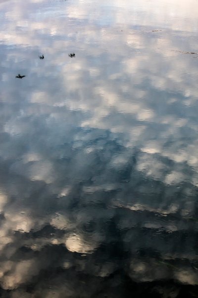  by Bernard Bonnefon
