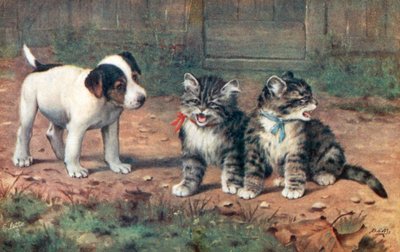  by Bernard Cobbe