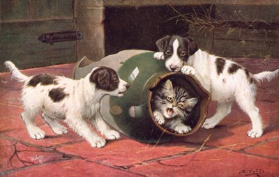  by Bernard Cobbe