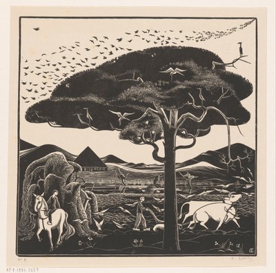 Çiftlik Öküz by Bernard Essers (signed by artist)