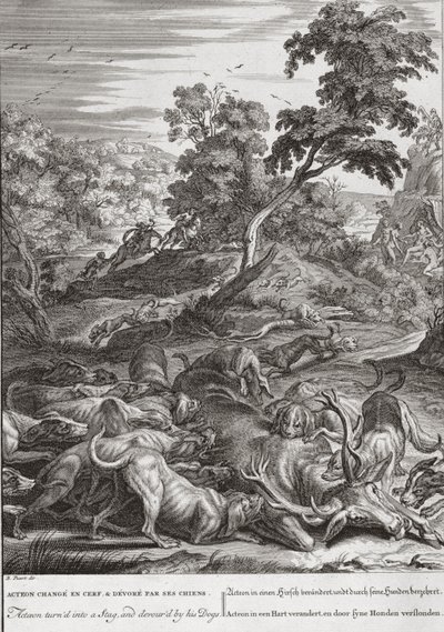 Acteon bir Geyik'e dönüştü ve köpekleri tarafından yutuldu, 1731 by Bernard Picart