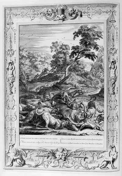 Actaeon bir Geyik