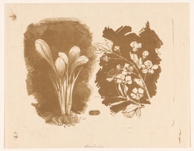 Çiğdemler ve çiçeği olan bir dal by Bernard Willem Wierink