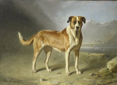 Bir St Bernard Köpeği by Bernard te Gempt