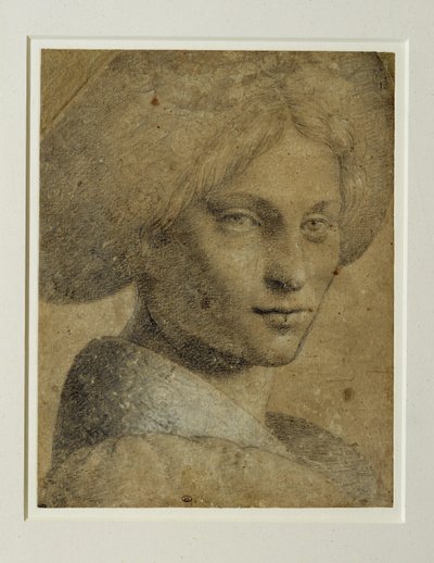  by Bernardino (attr. to) Luini
