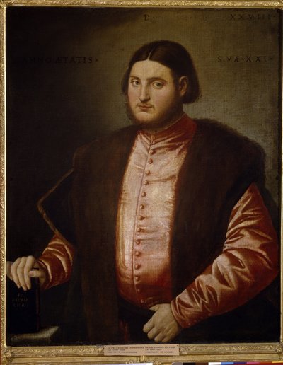Bir adamın portresi (Bir adamın portresi). Bernardino Licinio