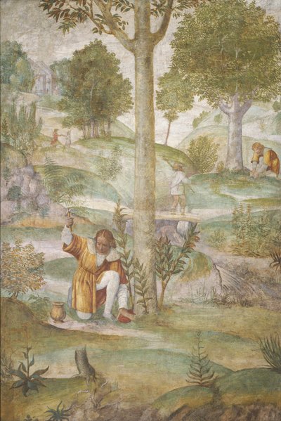 Cephalus Mücevherleri Gizliyor by Bernardino Luini