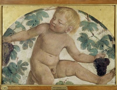 Hasat putti - Pergola altında putto, c.1514 (gemide taşınan müstakil fresk) by Bernardino Luini