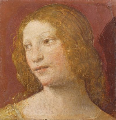 Genç Bir Kadının Başı by Bernardino Luini