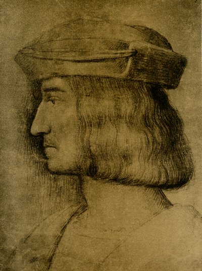 erkek portre by Bernardino Luini