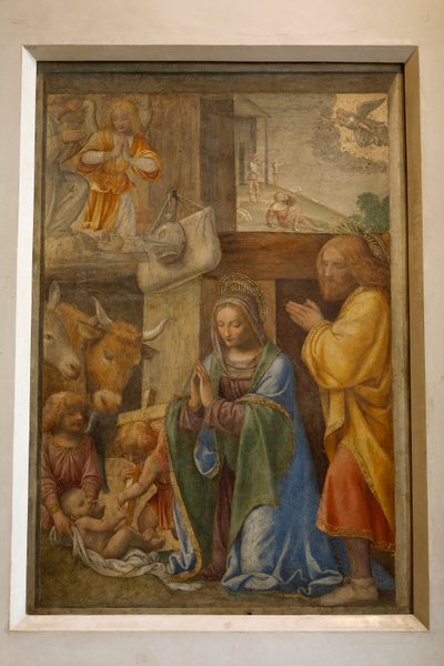 Çobanların doğuşu ve hayranlığı, c. 1520-1525 (panelde yağ) by Bernardino Luini