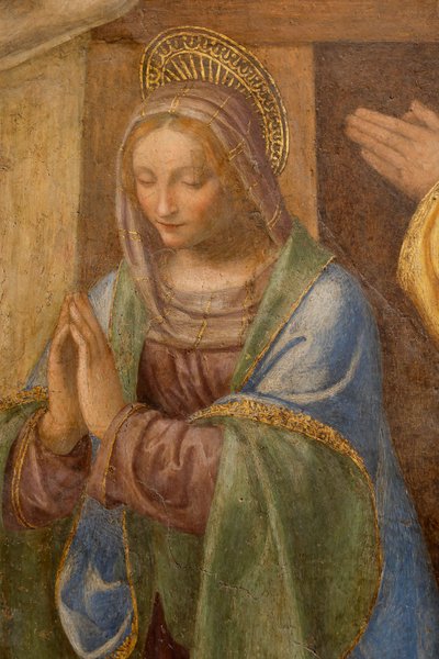 Çobanların doğuşu ve hayranlığı, c. 1520-1525. Detay (panelde yağ) by Bernardino Luini