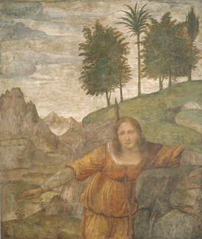 Procris, Cephalus