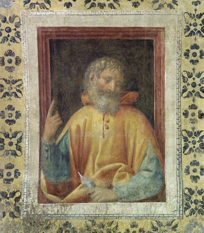 Peygamber by Bernardino Luini