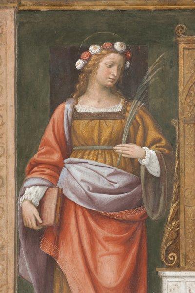 Aziz Gül (fresk) (3497195 detayı) by Bernardino Luini