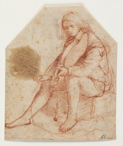 Viyola ile oturan çocuk by Bernardino Luini