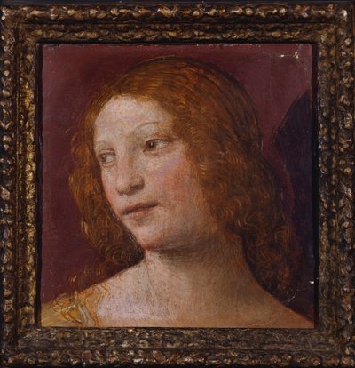 Bir Meleğin Başı - bir fragman by Bernardino Luini