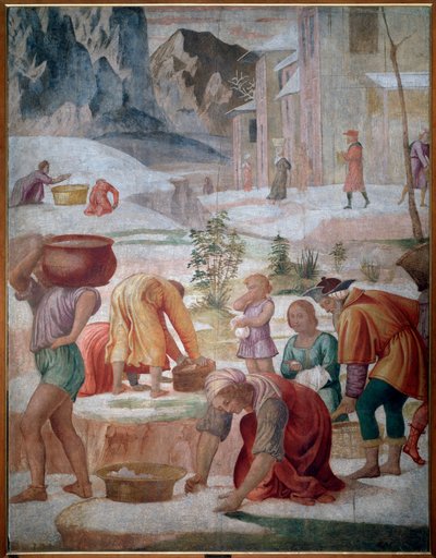 Manna, İsrailliler çölde toplanıyor - Fresk by Bernardino Luini