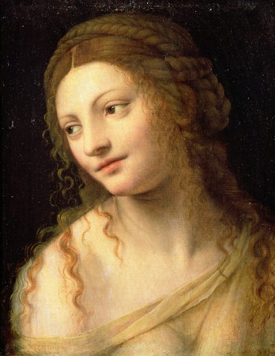 Bilinmeyen resim by Bernardino Luini