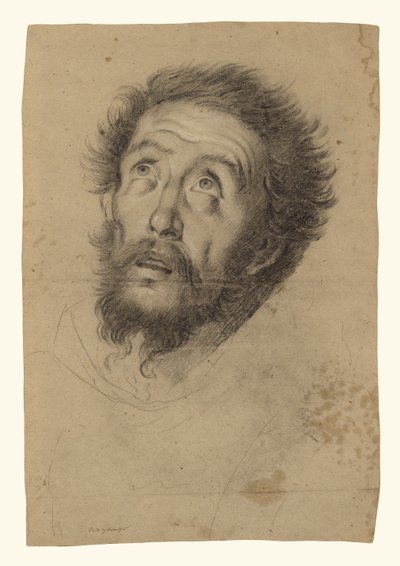 Aziz Francis