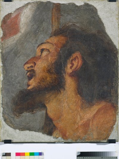Vaftizci Yahya Başkanı Müstakil fresk parçası, 1622 by Bernardo Strozzi
