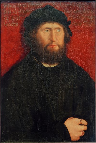 Montfort-Rothenfels Johann I. Kontunun Portresi by Bernhard Strigel