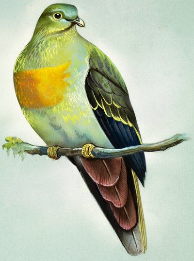  by Bert Illoss