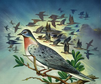  by Bert Illoss