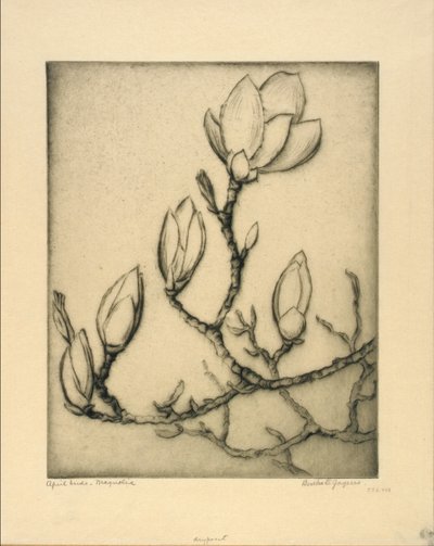  by Bertha E. Jaques