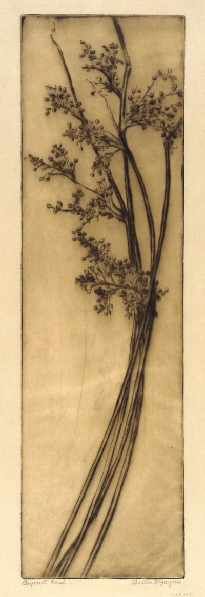  by Bertha E. Jaques