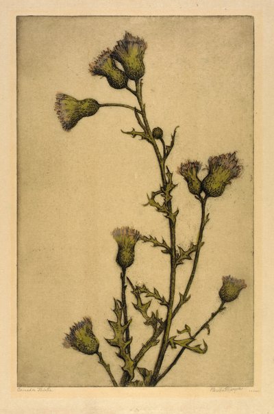  by Bertha E. Jaques