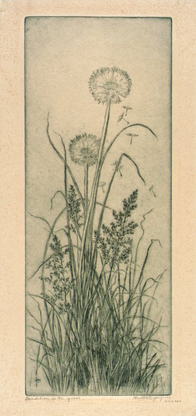 by Bertha E. Jaques