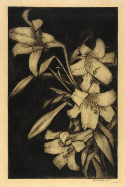  by Bertha E. Jaques