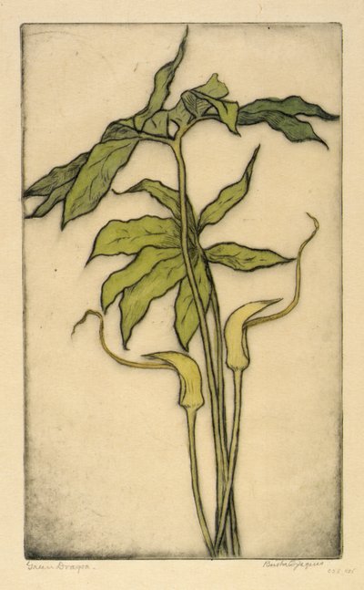  by Bertha E. Jaques